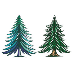Obraz premium A set of pine trees vector illustration isolated on a white background
