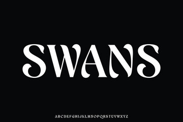 Elegant decorative alphabet display font vector illustration