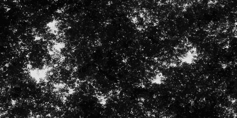 Abstract background. Monochrome texture. Image includes a effect the black and white tones.