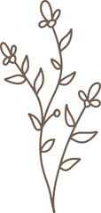 Handdrawn Organic Fern Branches illustration