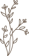 Obraz premium Handdrawn Organic Fern Branches illustration