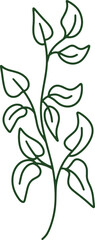 Handdrawn Organic Leaves illustration