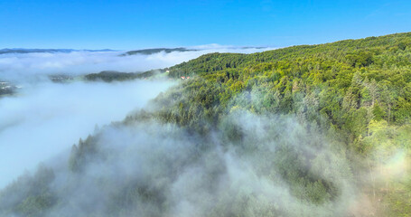 AERIAL: Green forested hills rise above morning fog that blankets the valley