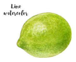Watercolor Lime HandPainted Fruit Illustration for art, design, or kitchen inspiration