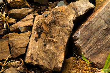 rock texture