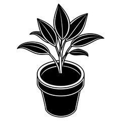 isometric Plant in the pot vector silhouette illustration