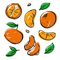 Mandarines hand drawn ink doodle set with white border. Isolated colorful tangerine collection on transparent background. Printable illustration for stickers, decoration or web design.