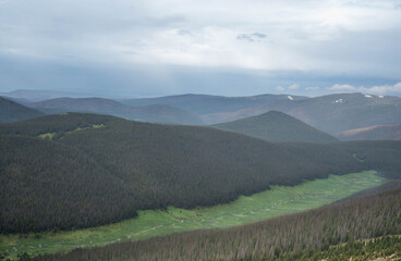 Naklejka premium View of the green meadow with coniferous on the road of the of rocky mountains.