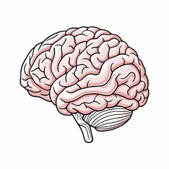 Brain outline vector illustration (22)