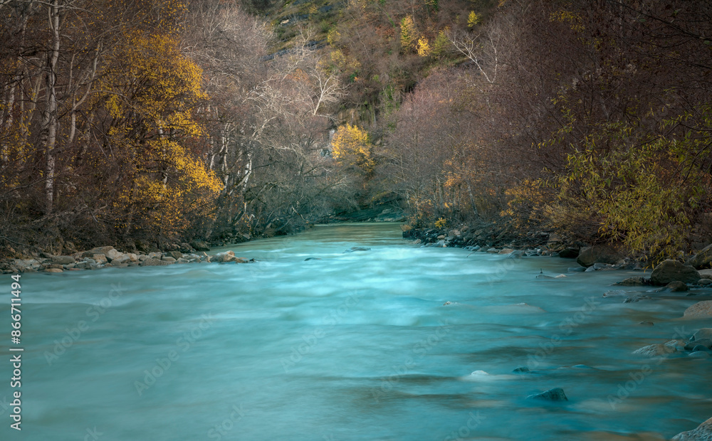 Canvas Prints river in the forest