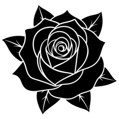 black and white rose