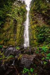 Magical misty green forest with waterfalls do Folhadal in Levada do Norte, Madeira island, Portugal.