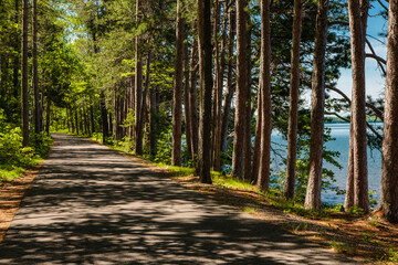 Peaceful, rural country road that is also part of an extensive Vilas County bike path through...