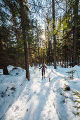 Mountaineer backcountry ski walking ski alpinist in the mountains. Ski touring in alpine landscape with snowy trees. Adventure winter sport. High tatras, Slovakia