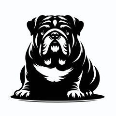 Bulldog lap dog breed face head isolated pet animal