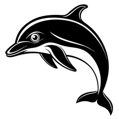 Fototapeta premium dolphin isolated on white