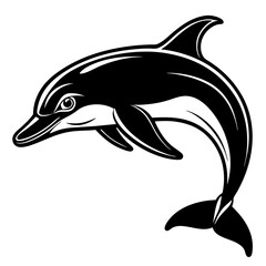 Obraz premium dolphin isolated on white background