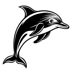 Obraz premium dolphin isolated