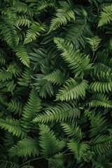 A detailed view of a cluster of fresh green leaves, suitable for nature or botanical themed designs