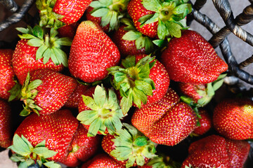Fruit background. Fresh strawberries in a wicker basket, top view