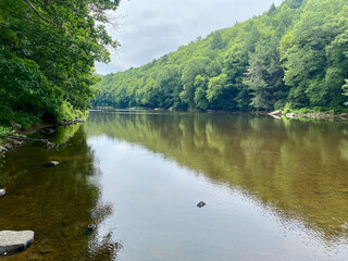 Calm river through forest in state park