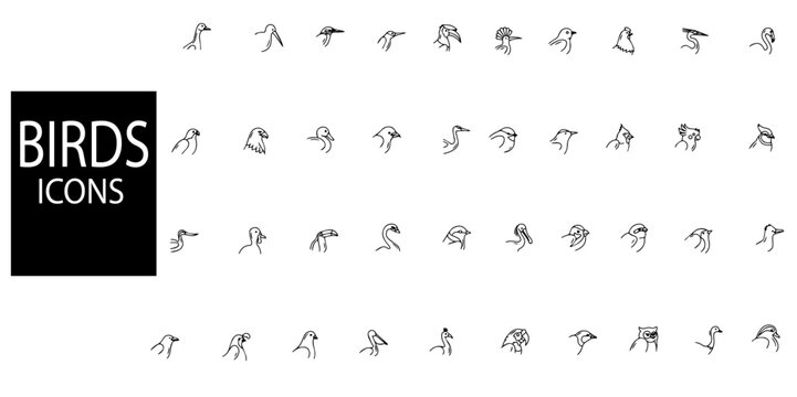 Birds simple concept 40 icons set.Mnay kind of birds.Vector illustration.