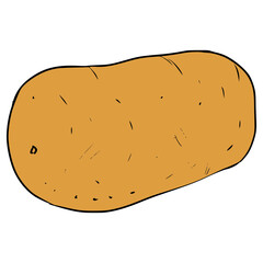 potato illustration hand drawn isolated vector	
