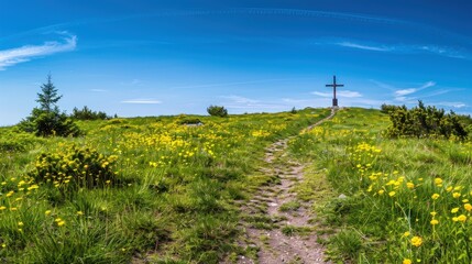 A beautiful, lush green field with a dirt path leading through it. Generate AI image