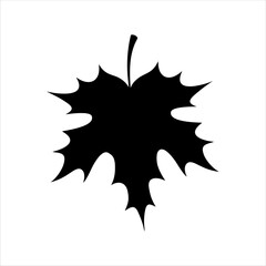 Maple leaf vector silhouette isolated on white background. Maple leaf icon illustration design.