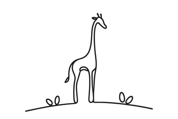 one line of giraffe. vector illustration in minimalist style