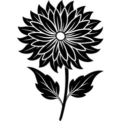 Aster vector illustration