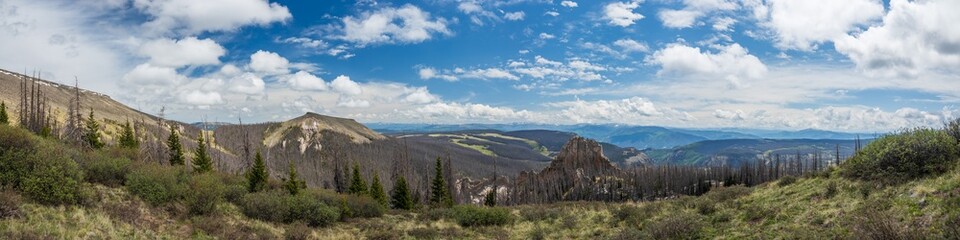 Mountain tundra forest with ancient volcanic ash mounds