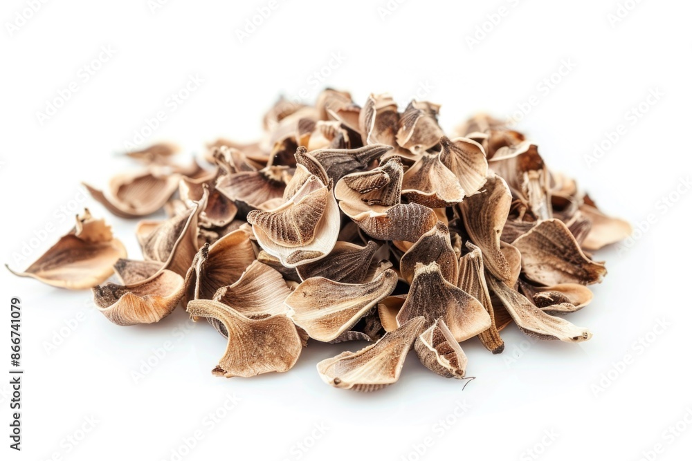 Poster A collection of dried mushrooms arranged neatly on a white surface