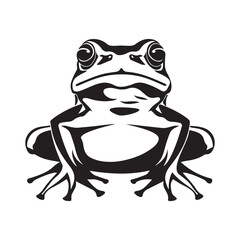 Frog Amphibi front view Images vector. Illustration of Amphibi isolated on white background