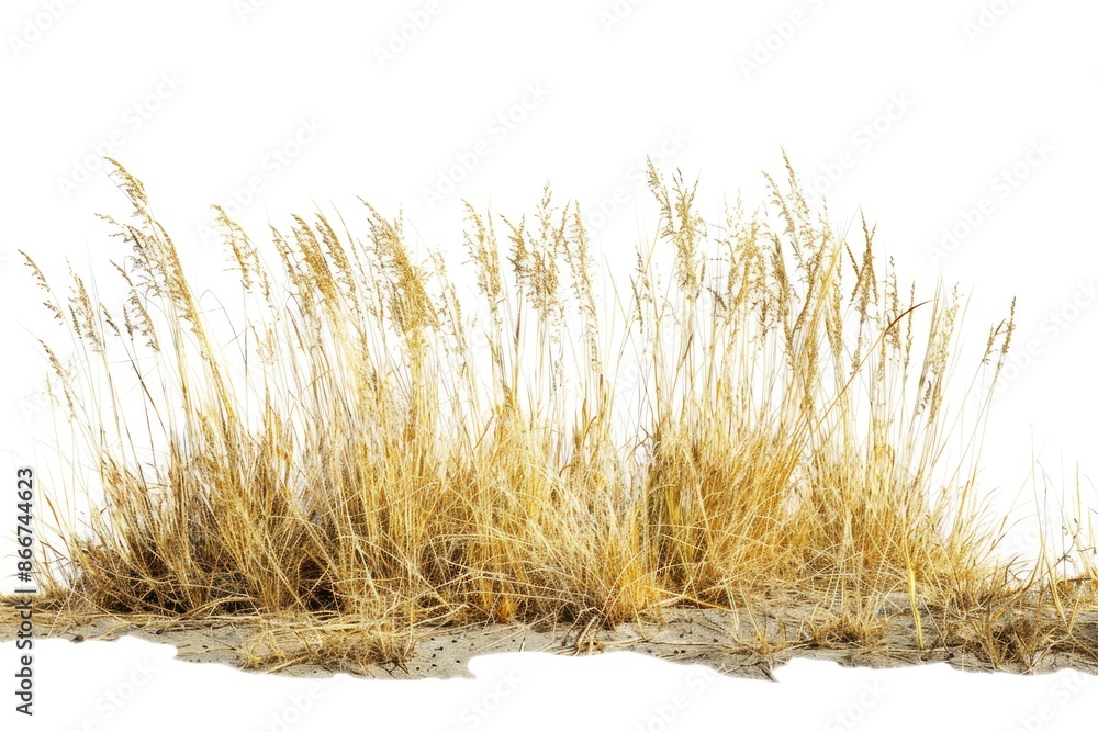 Aufkleber a pile of dry grass sits atop a green field, perfect for adding texture and earthy tone to your proj