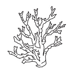 Vector Coral illustration. Etching of seaweed painted by black inks in outline style. Etching of Kelp for coloring books or icon. Line art drawing of reefs on isolated background.