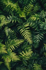 Fototapeta premium A close-up shot of a bunch of green leaves, perfect for nature and botanical illustrations