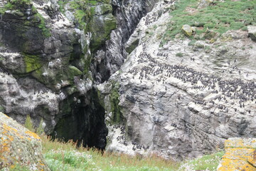 Schottland - Landschaften und Tiere
Scotland - landscape, nature and animals