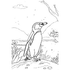 Cute Animal coloring book With kdp