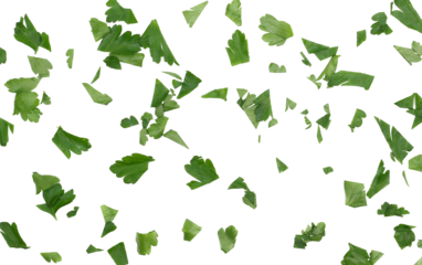 Chopped fresh green celery leaves isolated on white background and texture, top view