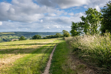 footpath through a field