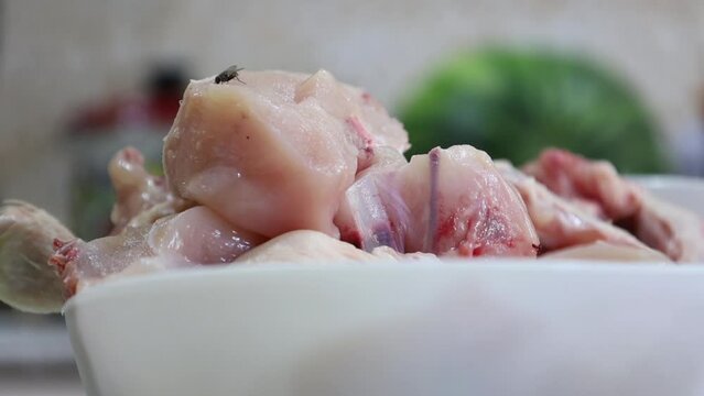 A fly sits on chicken meat and eats