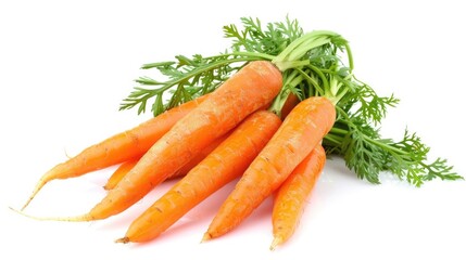 Fresh Carrots Closeup. Isolated Carrots on White Background, Nutritious Vegetable for Healthy Salad