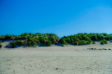Weißer Sandstrand und und wunderschöne Dünen am Sandstrand der Insel Ameland, Nordsee, Niederlande.