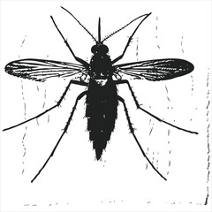 Bee with different facial expressions