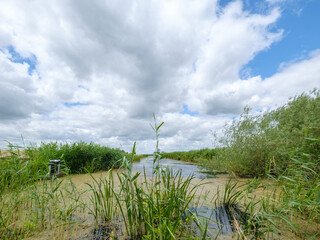 Nature reserve Mandjeswaard, Kampen, Overijssel province, The Netherlands