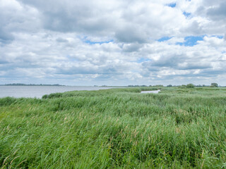 Nature reserve Mandjeswaard, Kampen, Overijssel province, The Netherlands