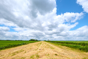 Mandjeswaard, Kampen, Overijssel province, The Netherlands