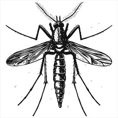 Bee with different facial expressions