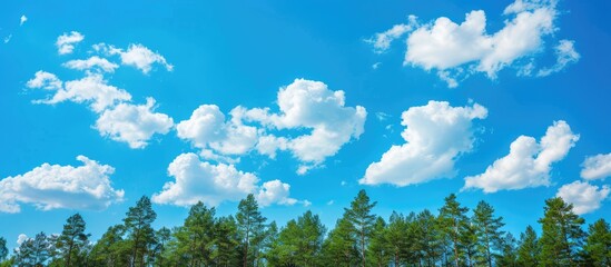 Obraz premium Clear blue sky with white clouds and tall trees in the background. Opportunity for text placement